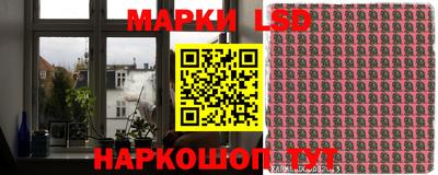 mdpv Краснознаменск