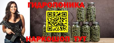 гашик Кулебаки