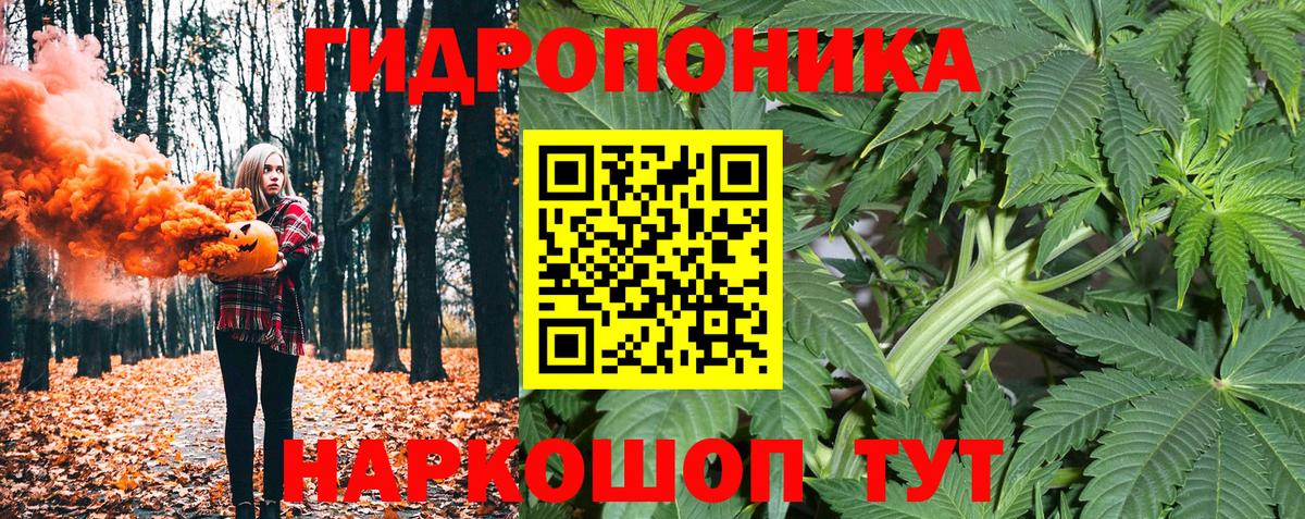 Тавда  МАРИХУАНА план  Бошки Шишки SATIVA & INDICA  Вход с VPN  Бошки марихуана AK-47 